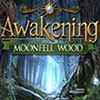 Awakening: Moonfell Wood game