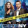 CSI: NY game