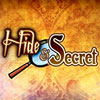 Hide and Secret game