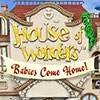 House of Wonders: Babies Come Home game