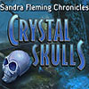 Sandra Fleming Chronicles: The Crystal Skull game