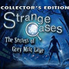 Strange Cases: The Secrets of Grey Mist Lake game